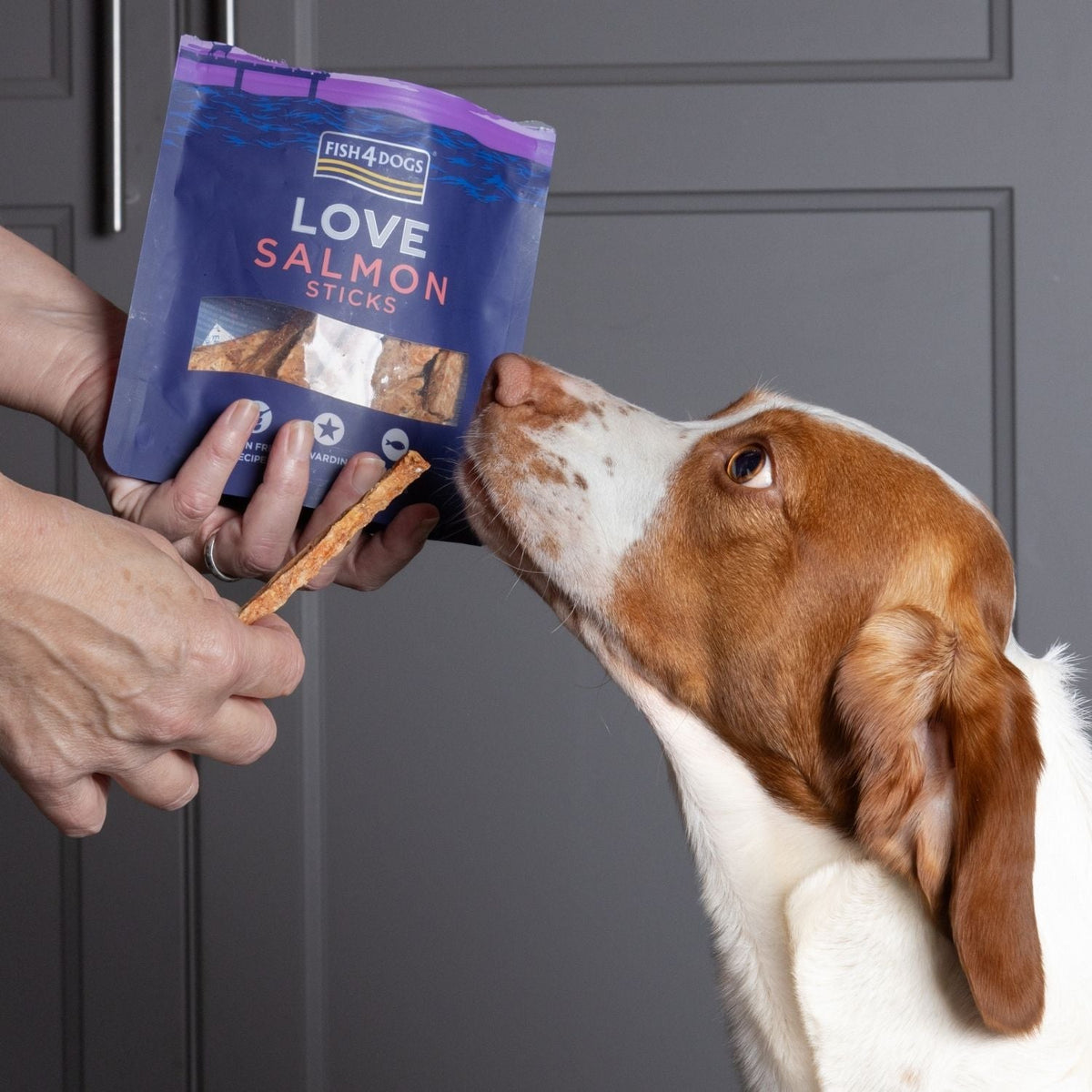 Snacks Perros