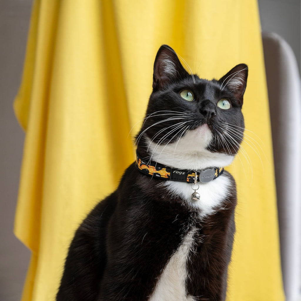Rogz Collar Fashioncat CB253-LB