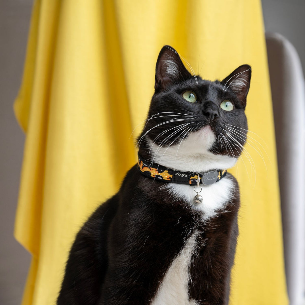 Rogz Collar Fashioncat CB253-LB