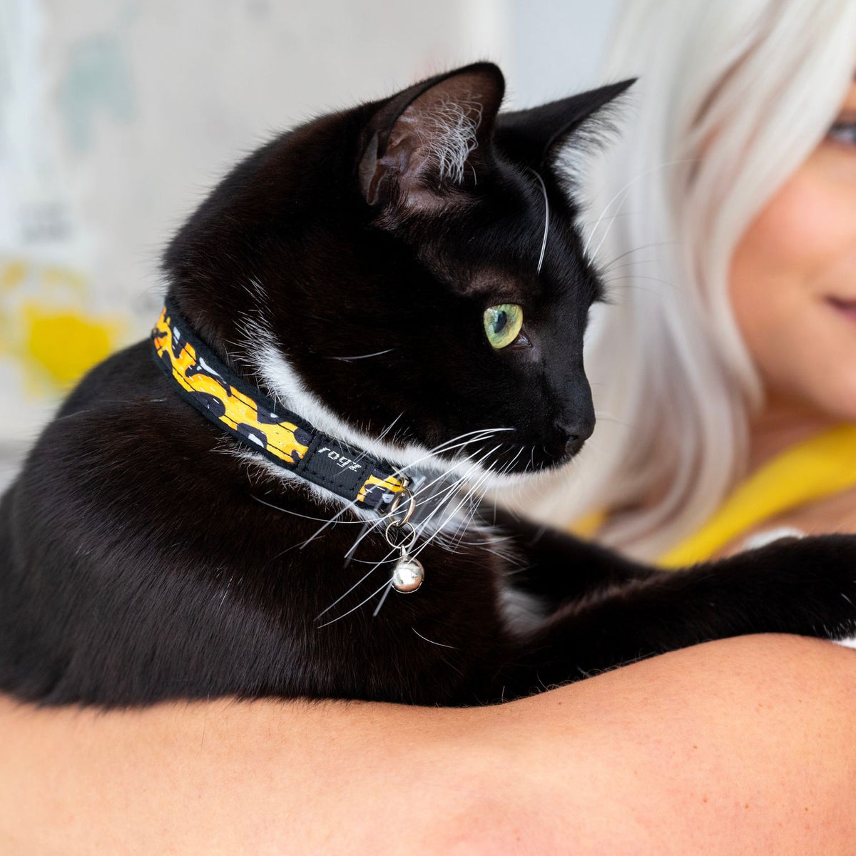 Rogz Collar Fashioncat CB253-LB