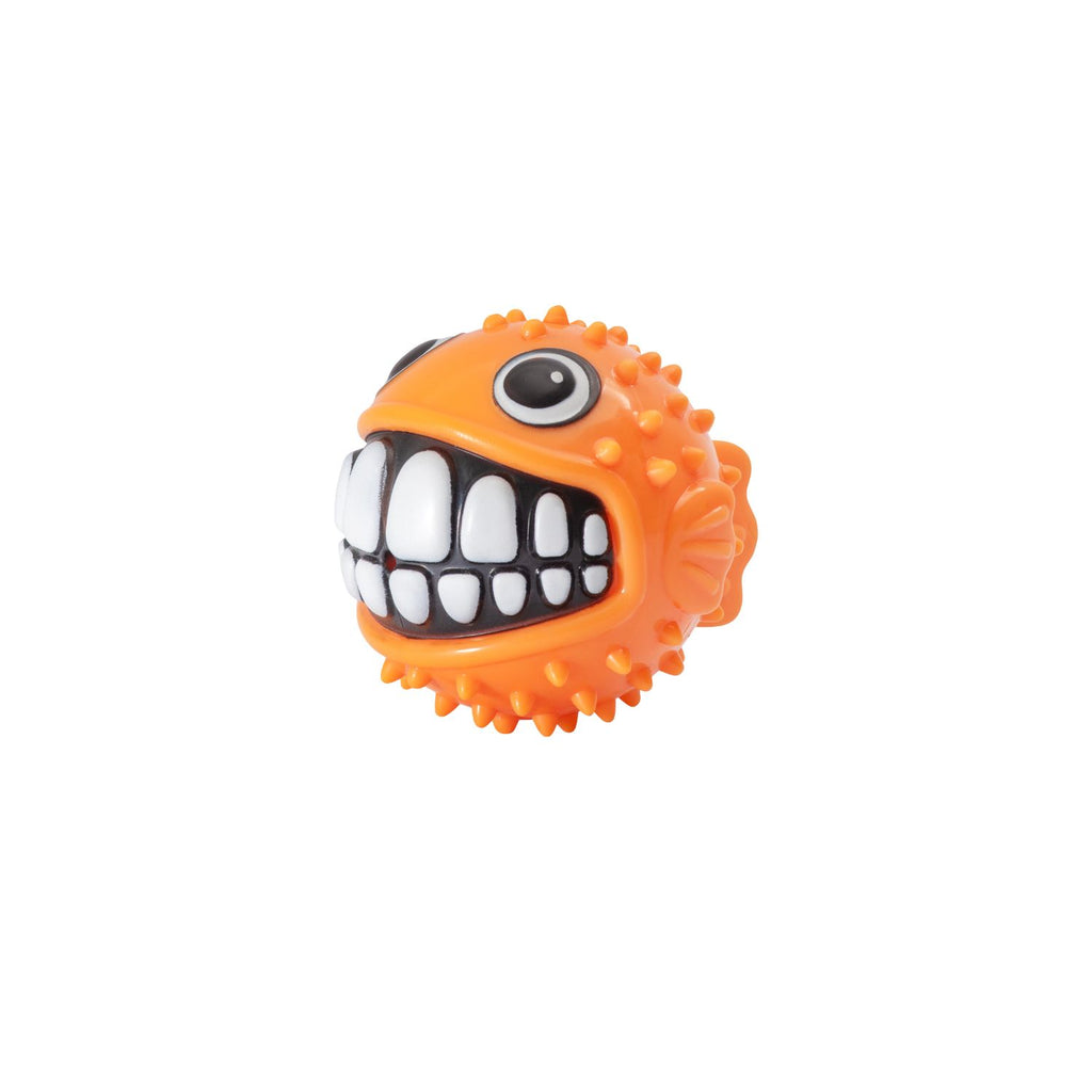 Rogz Juguete Pelota Grinz Fish