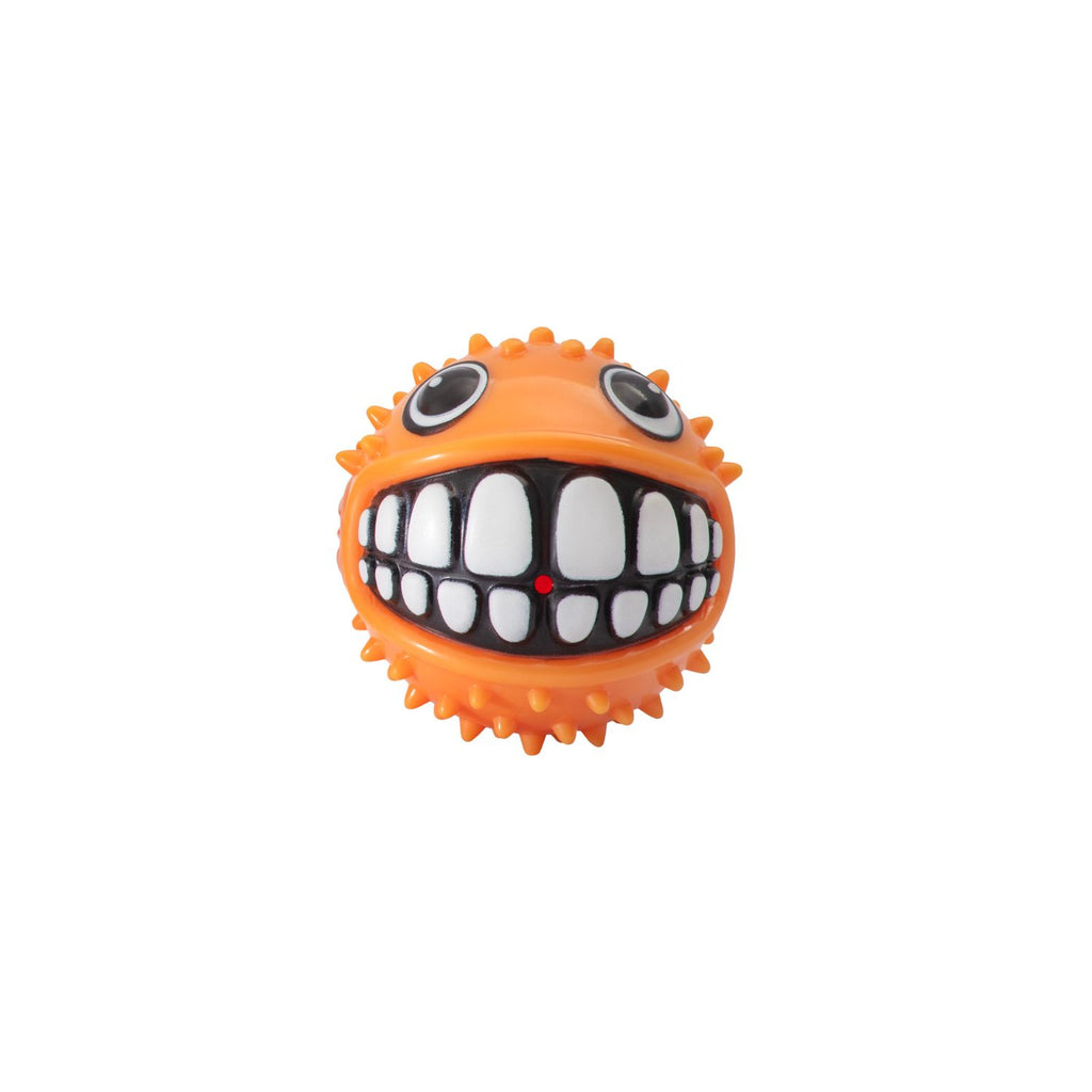 Rogz Juguete Pelota Grinz Fish