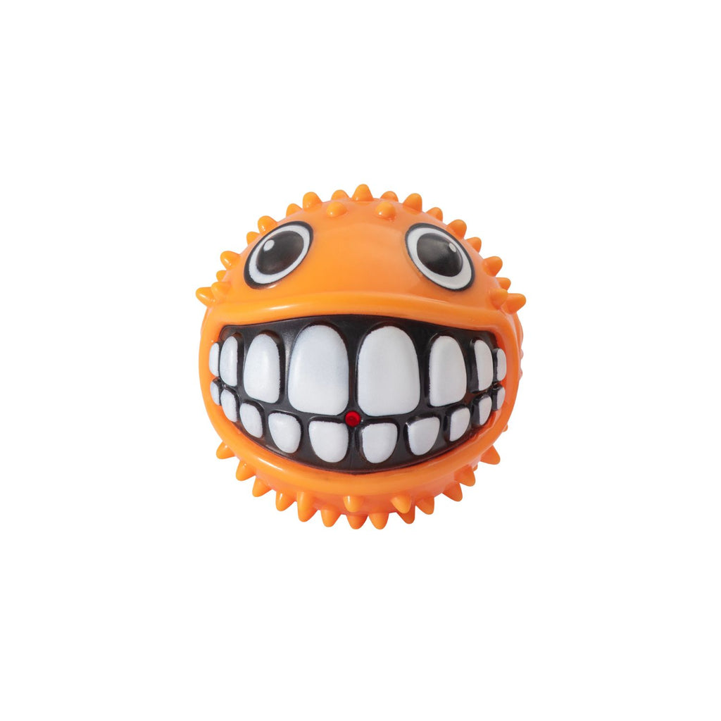 Rogz Juguete Pelota Grinz Fish