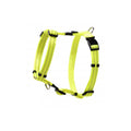 Rogz Arnés Classic Amarillo Fluor