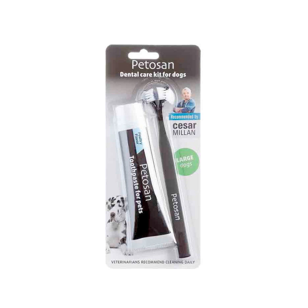Petosan Kit Dental