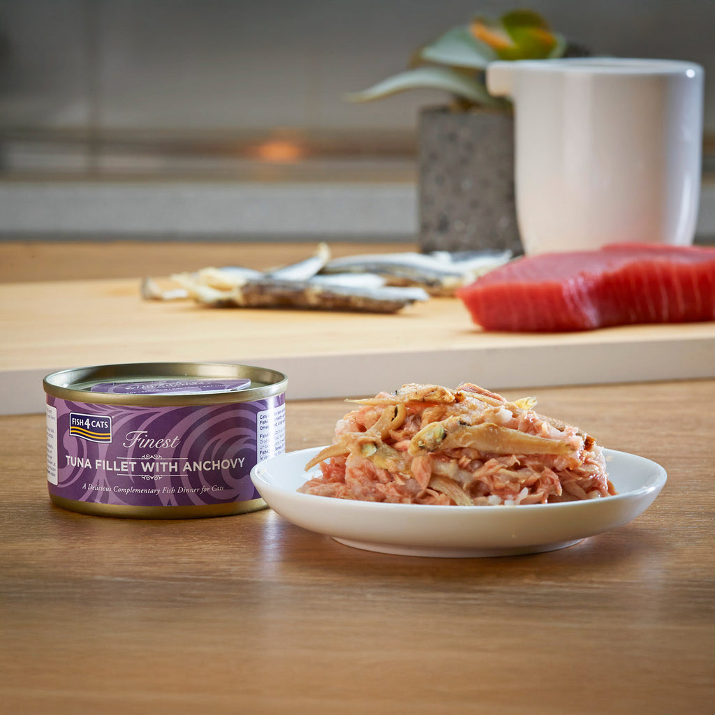 Fish4Cats Lata Filete de Atún con Anchoas 70 g (10)