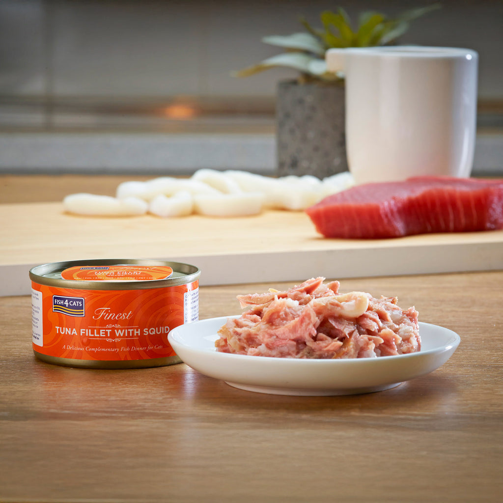 Fish4Cats Lata Filete de Atún con Calamar 70 g (10)