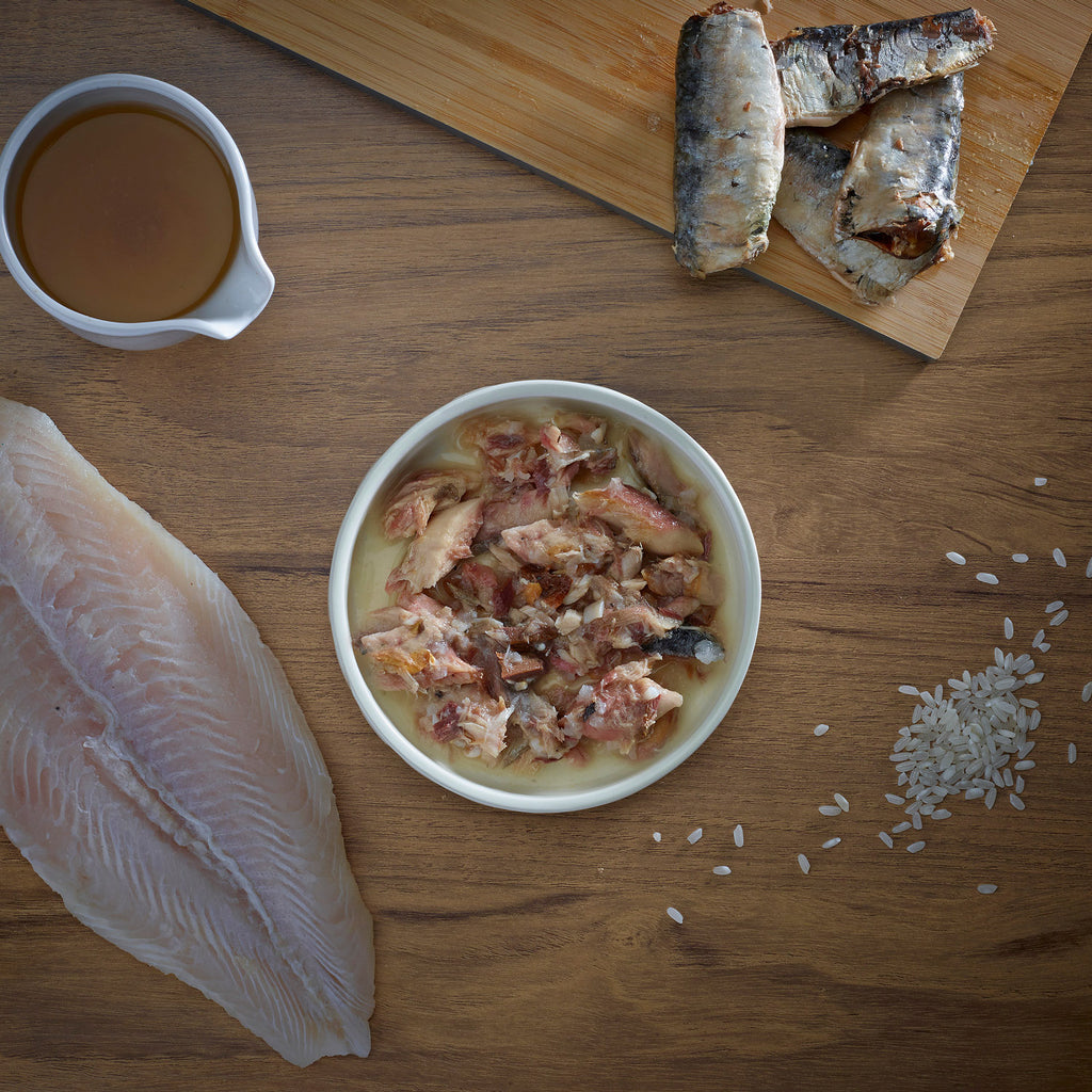 Fish4Cats Lata Sardina con Anchoas 70 g (10)