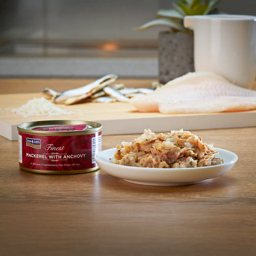 Fish4Cats Lata Caballa con Anchoas 70 g (10)
