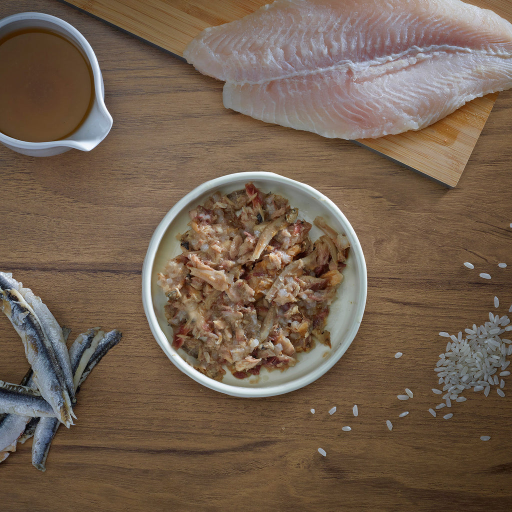 Fish4Cats Lata Caballa con Anchoas 70 g (10)