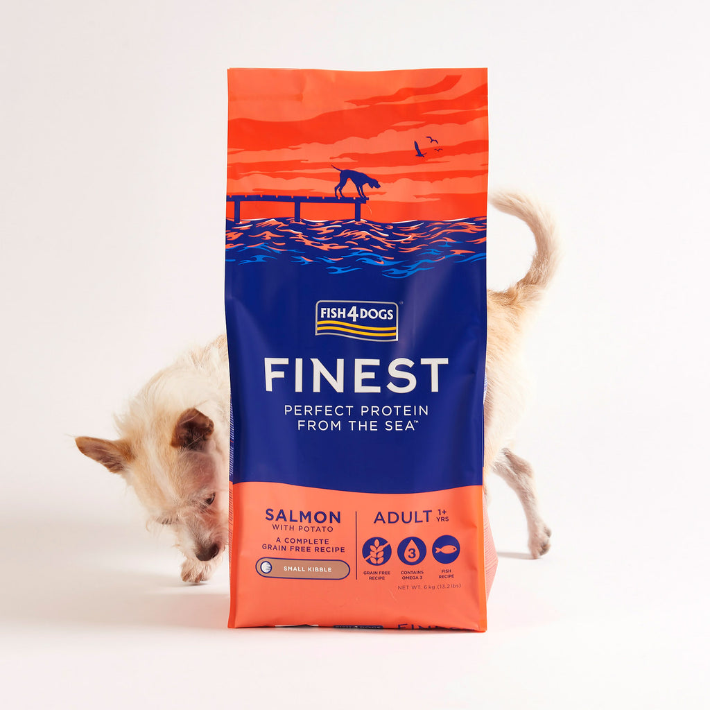 Fish4Dogs Finest Adult Small Salmón con Patata