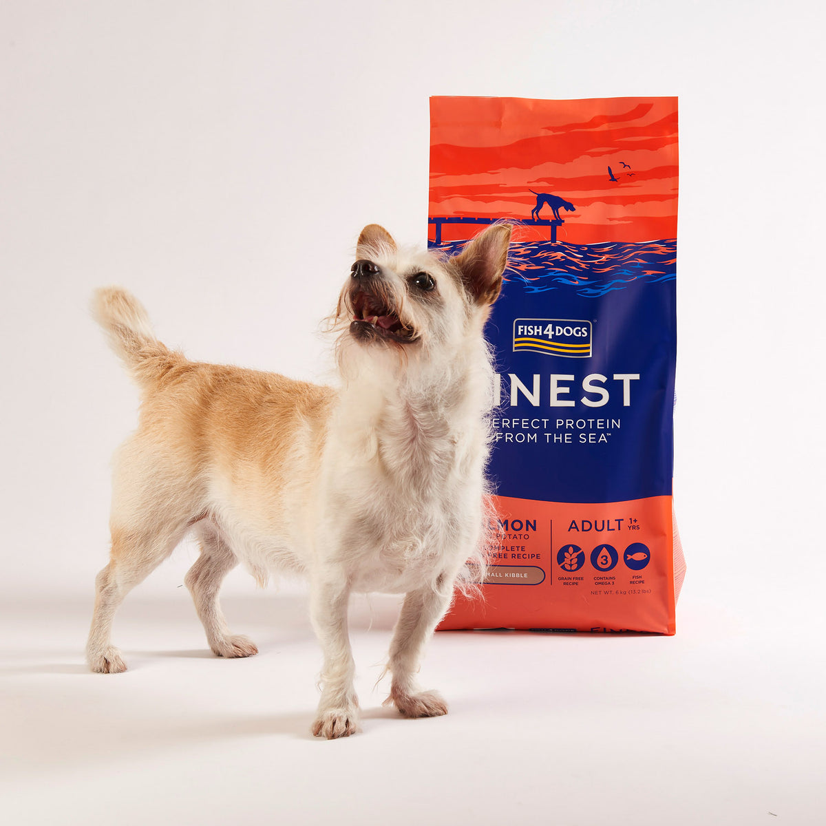 Fish4Dogs Finest Adult Small Salmón con Patata