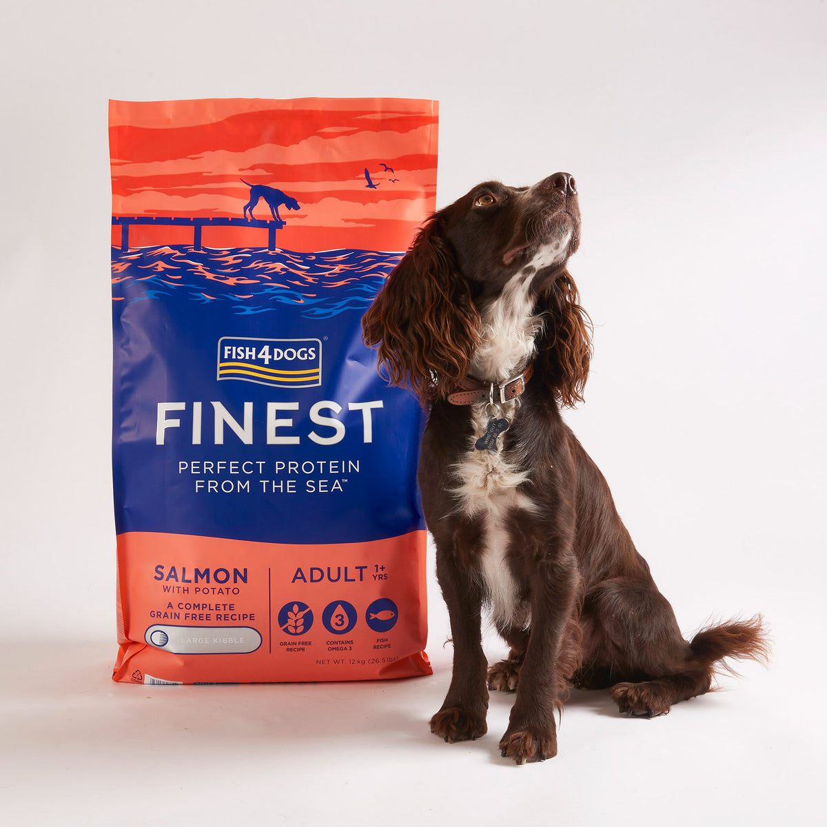 Fish4Dogs Finest Adult Salmón con Patata