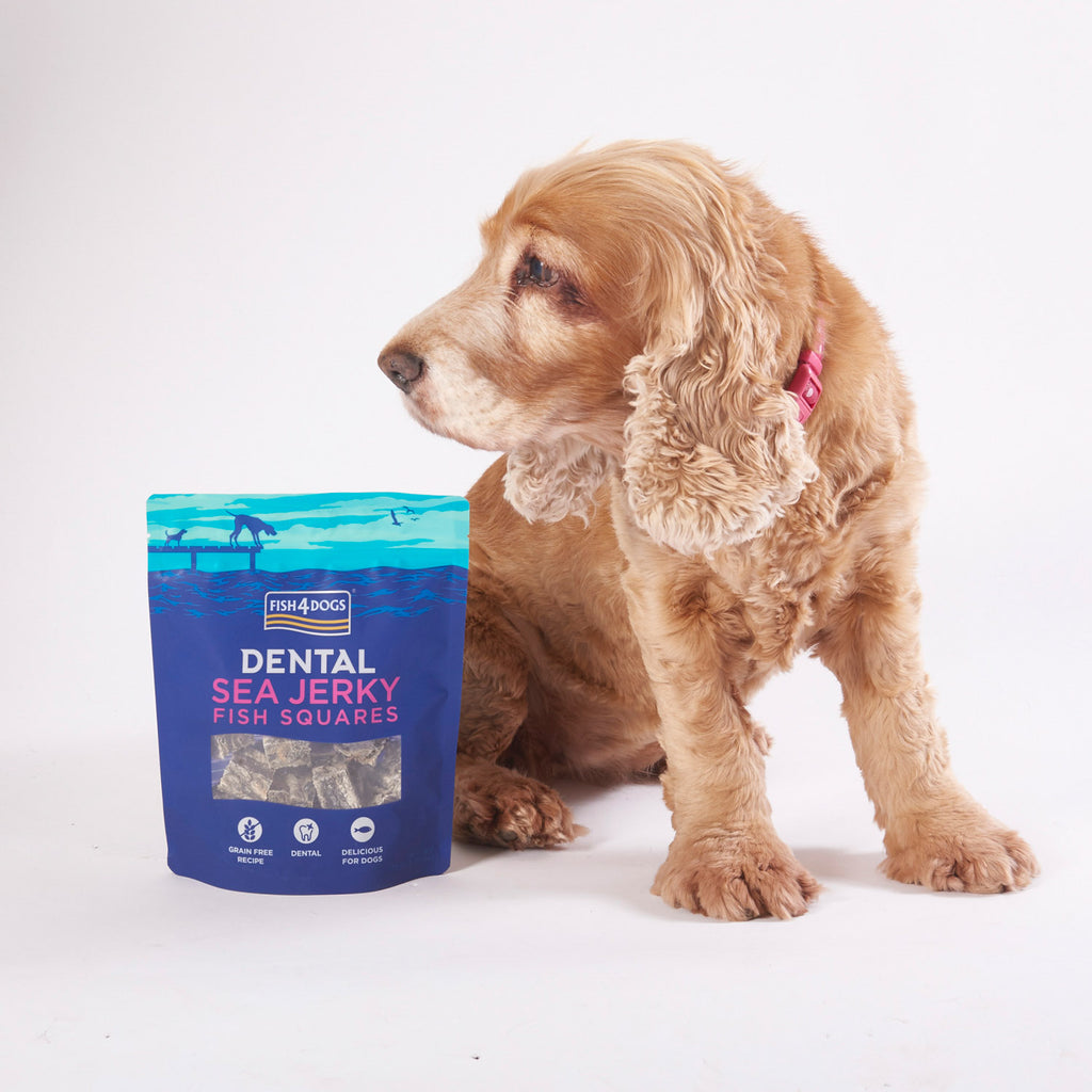 Fish4Dogs Dental Sea Jerky Fish Squares 115 g (10)