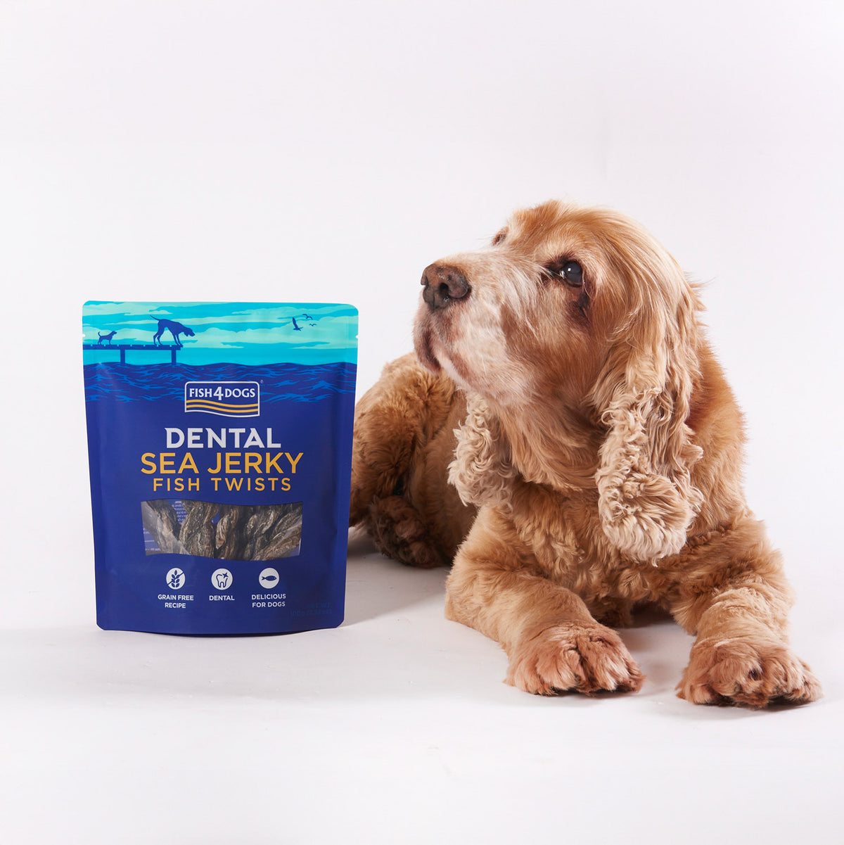 Fish4Dogs Dental Sea Jerky Fish Twists 100 g (10)