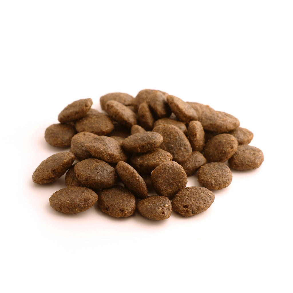 Fish4Dogs Finest Puppy Salmón con Boniato