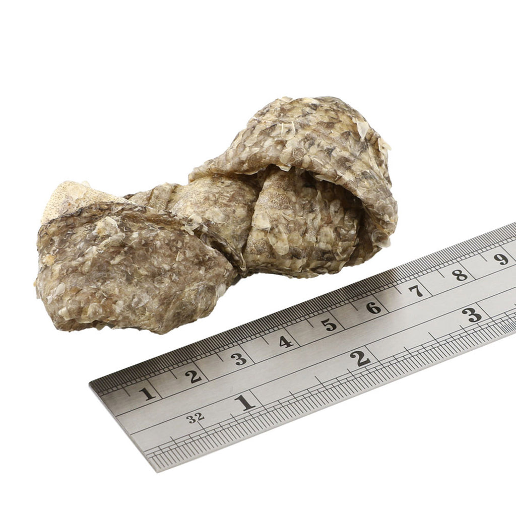 Fish4Dogs Dental Sea Jerky Fish Knots 100 g (10)