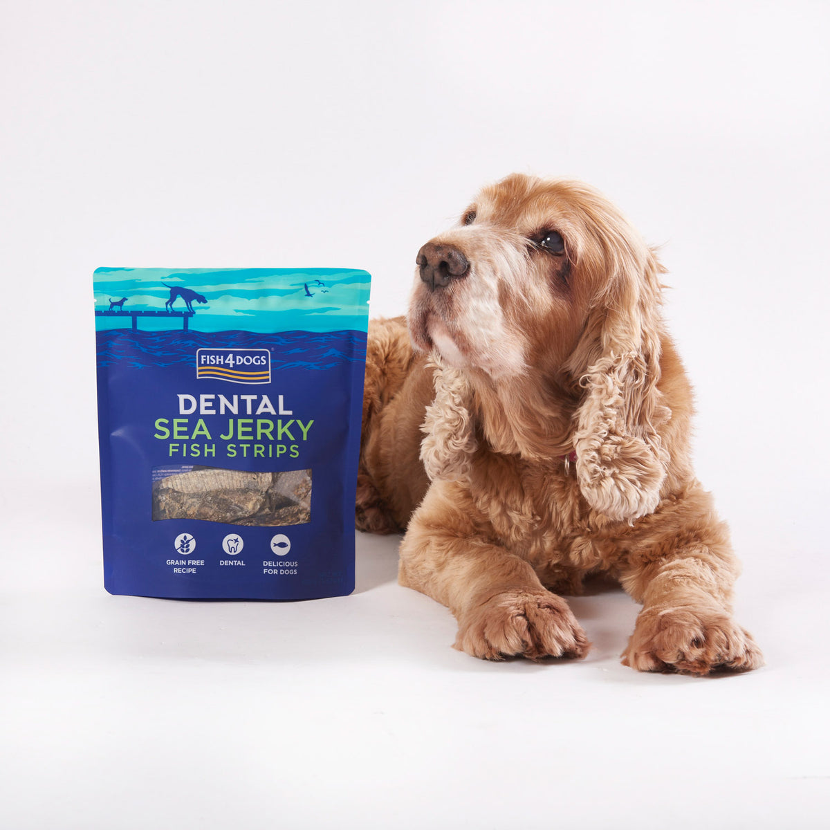 Fish4Dogs Dental Sea Jerky Fish Strips 100 g (10)