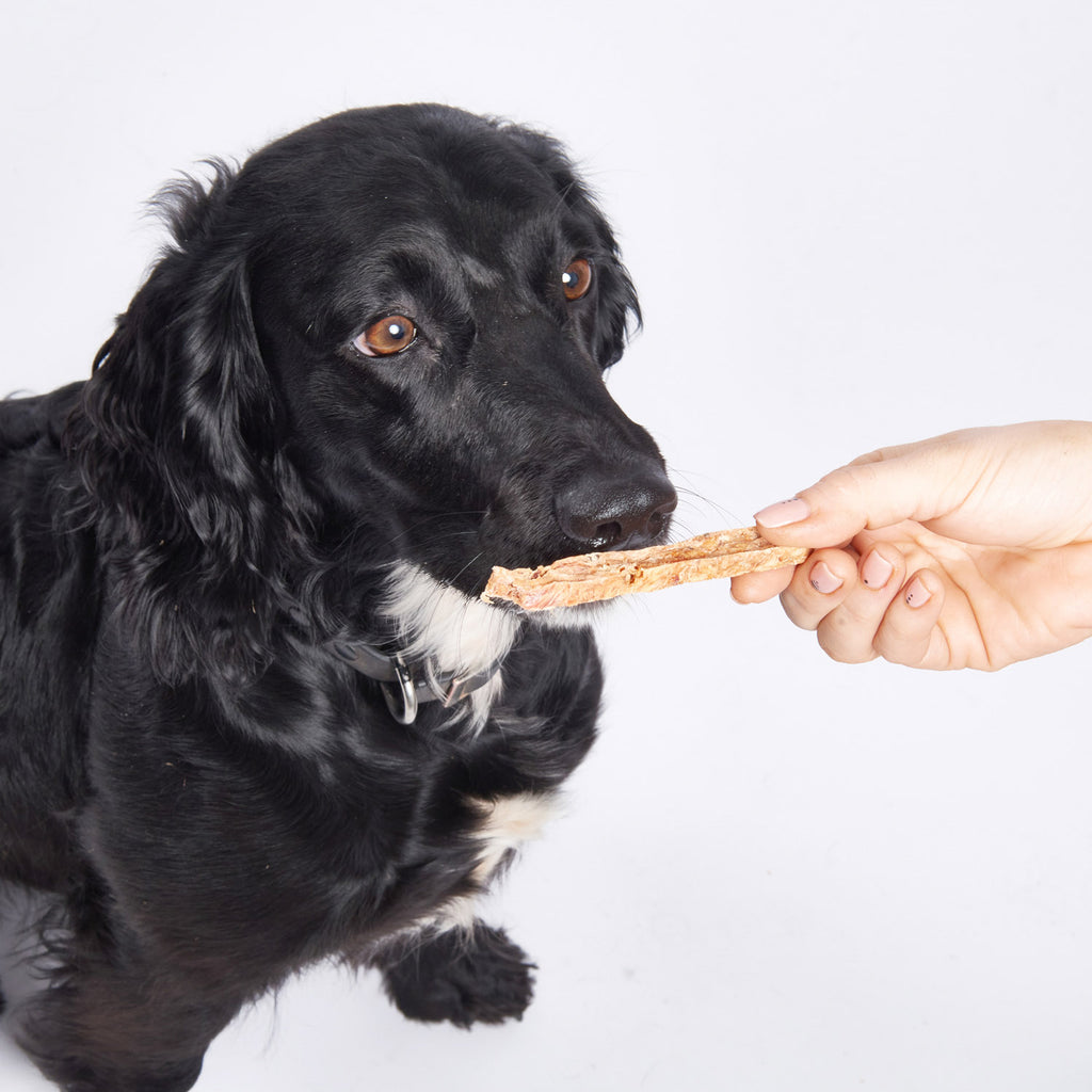 Fish4Dogs Love Salmón Sticks 85 g (10)