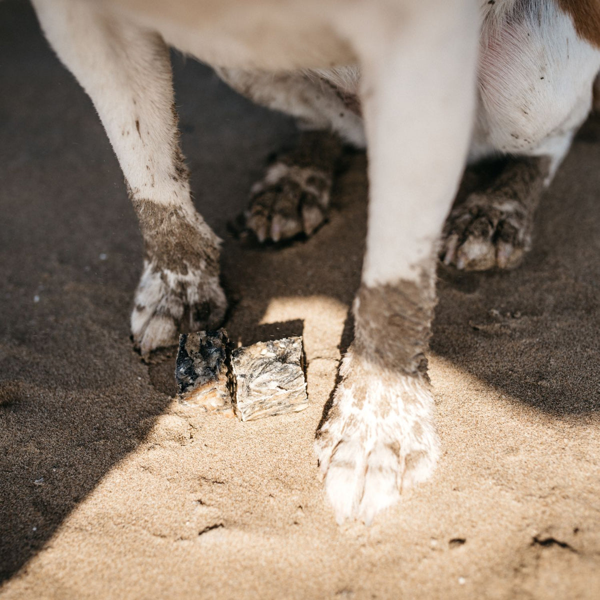 Fish4Dogs Dental Sea Jerky Fish Tiddlers