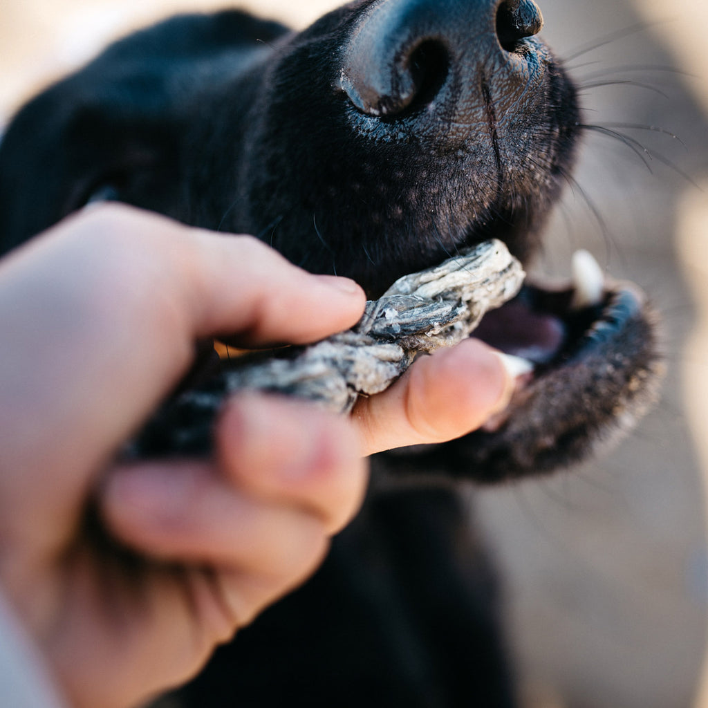 Fish4Dogs Dental Sea Jerky Fish Twists 500 g (4)