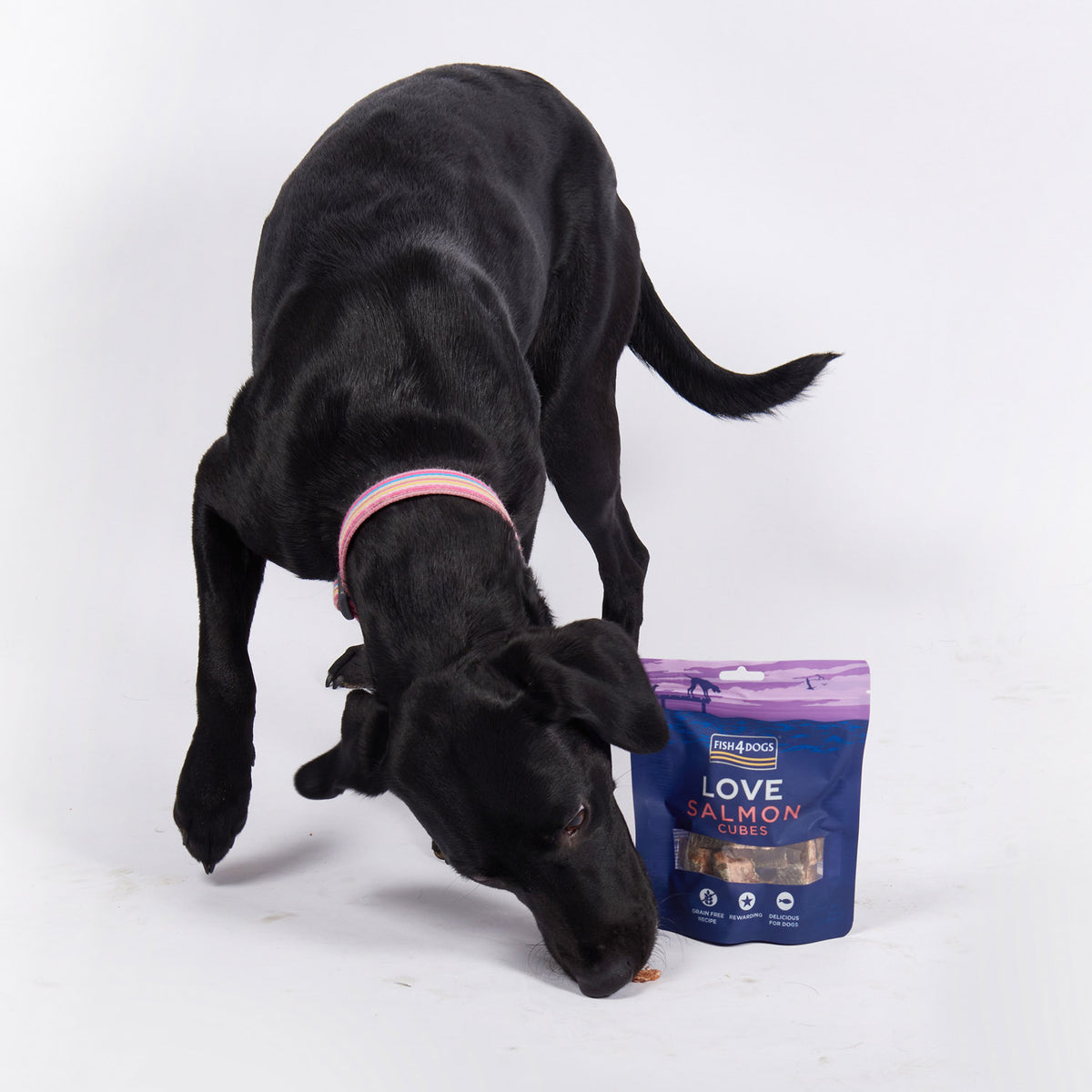 Fish4Dogs Love Salmón Cubos 85 g (10)