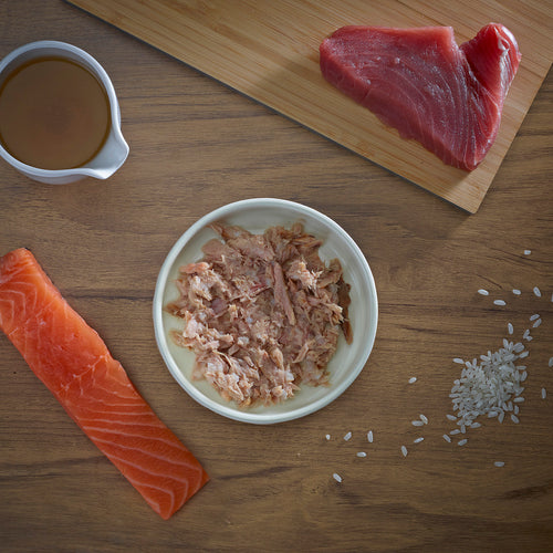 Fish4Cats Lata Filete de Atún con Salmón 70 g (10)