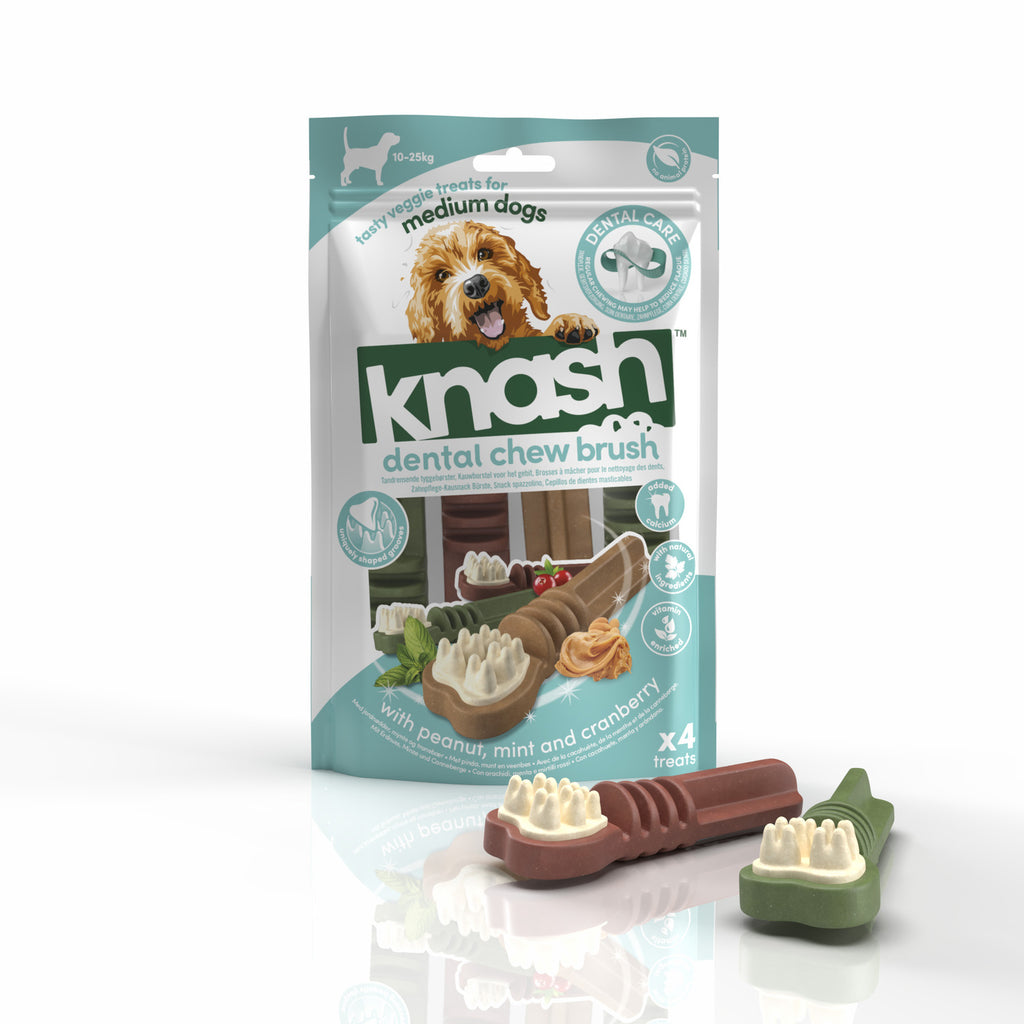 Knash Dental Chew Brush