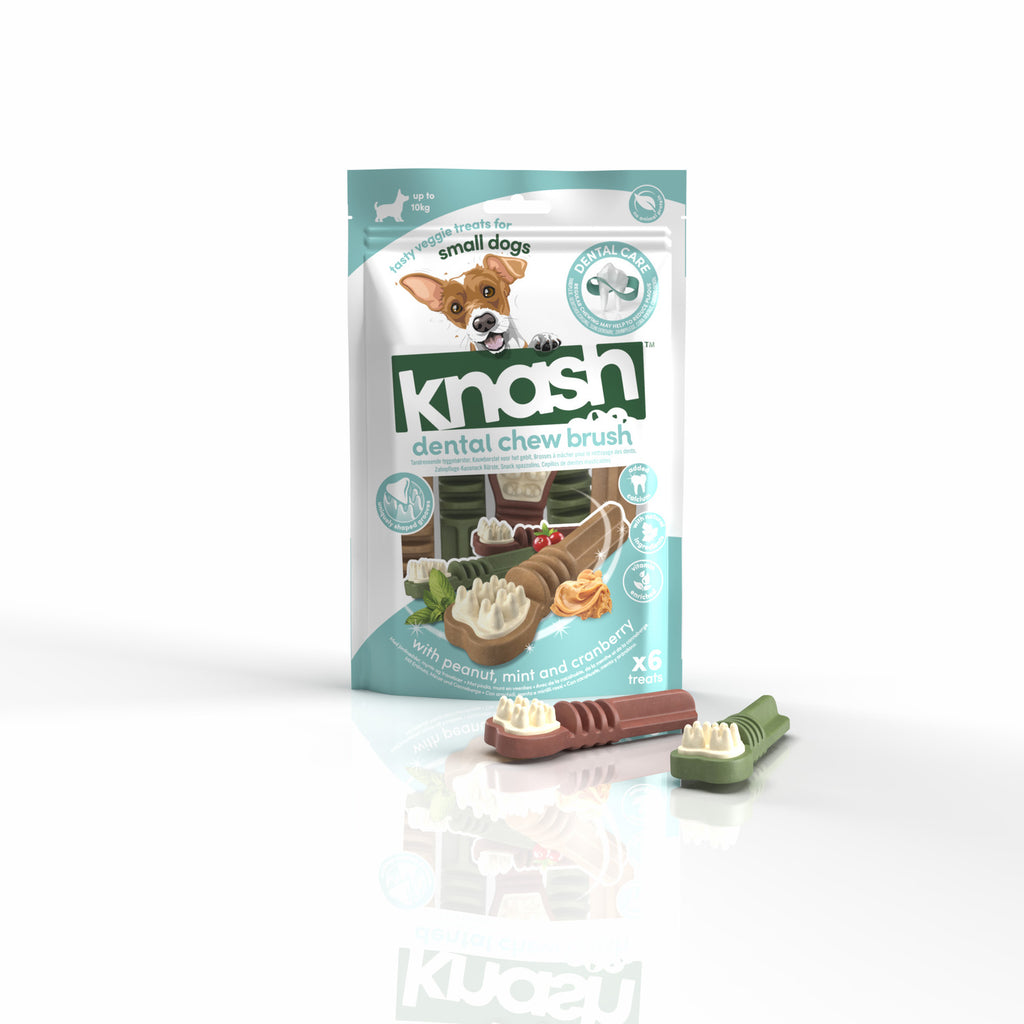 Knash Dental Chew Brush