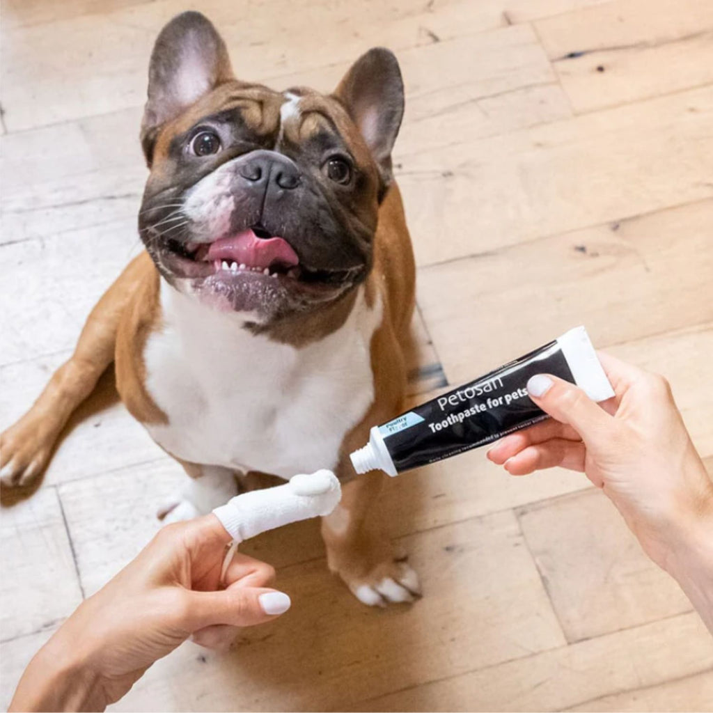 Petosan Cepillo Dental