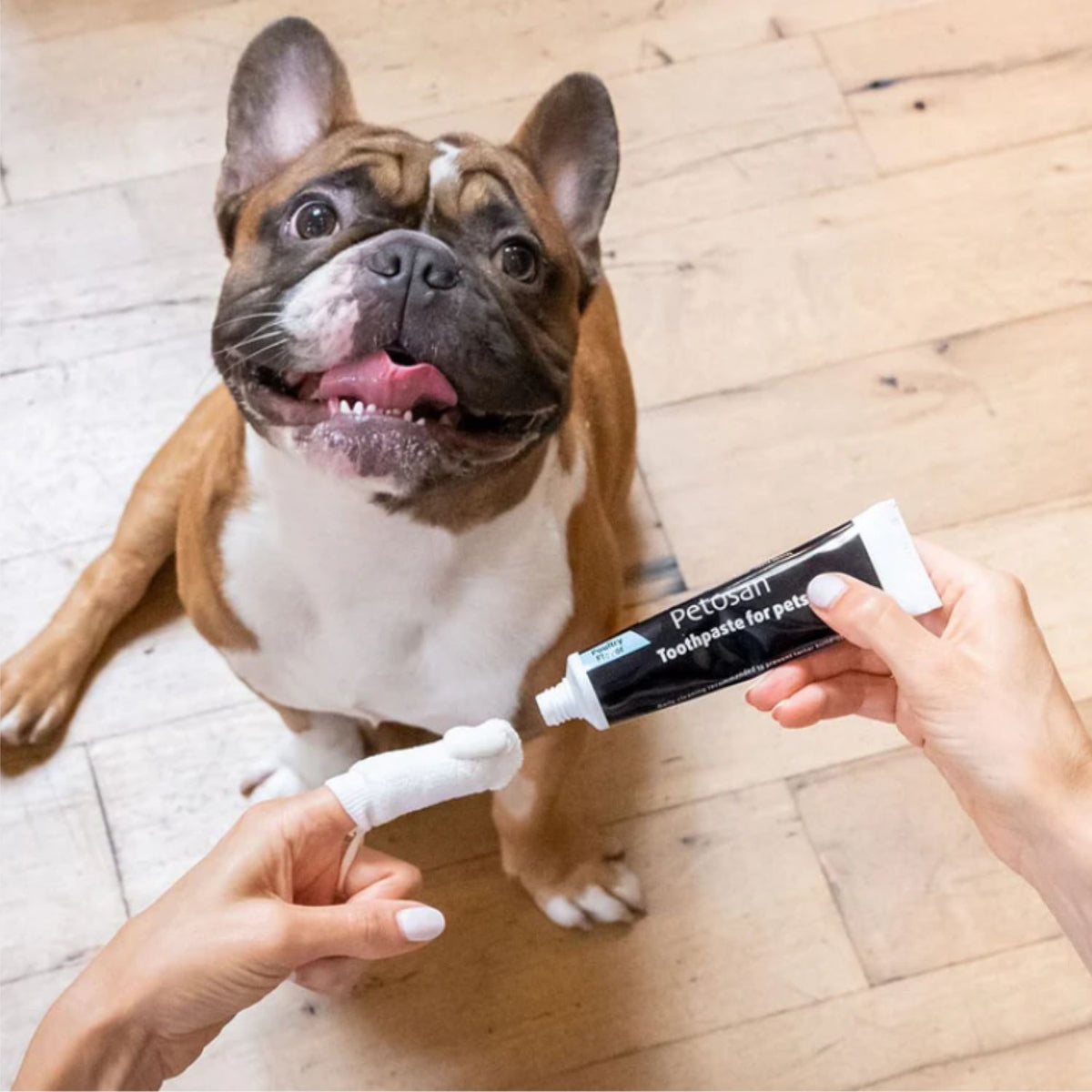 Petosan Cepillo Dental