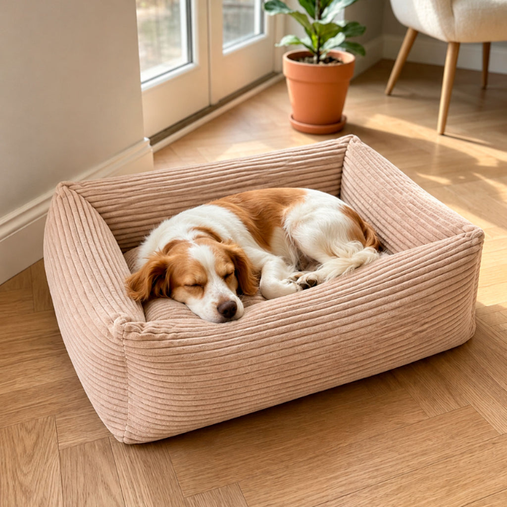 Cama Llessui Wuapu para perros, imagen general