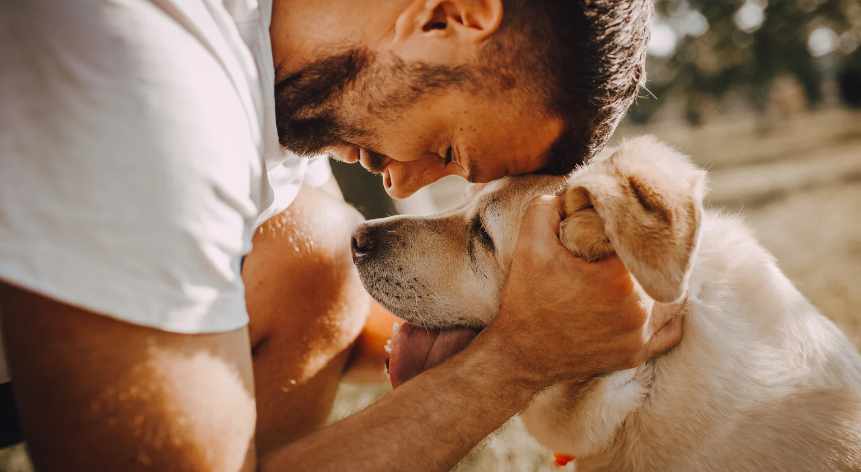 5 Razones para Usar Bolsas Biodegradables de Wuapu para Recoger los Excrementos de Perros