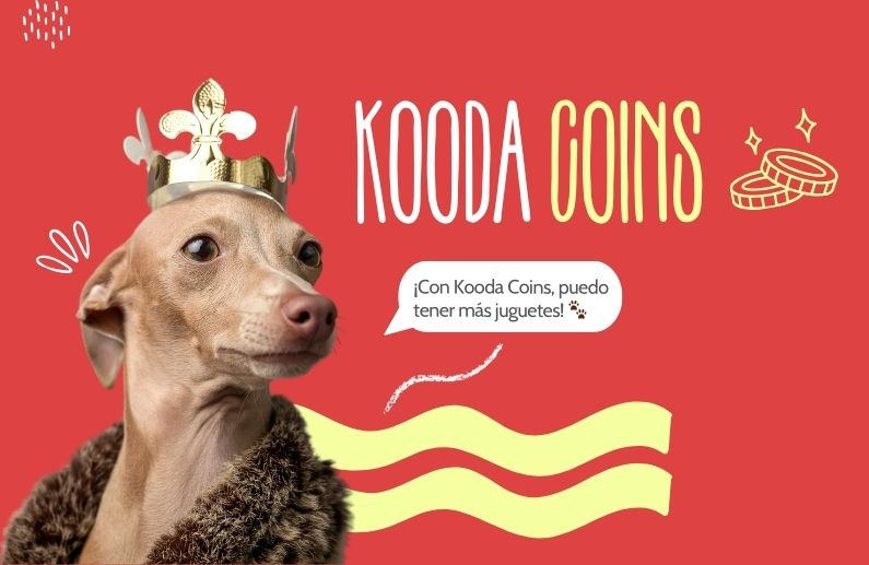 7 Maneras de Conseguir Kooda Coins con el Programa de Padrinos